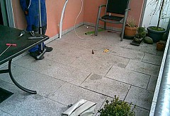 index 269166846